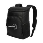 Arctic Zone® 18-can cooler backpack 16L