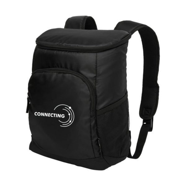Arctic Zone® 18-can cooler backpack 16L