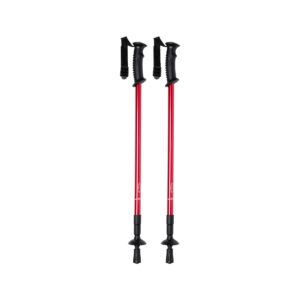 Brulen - kijki do nordic walking