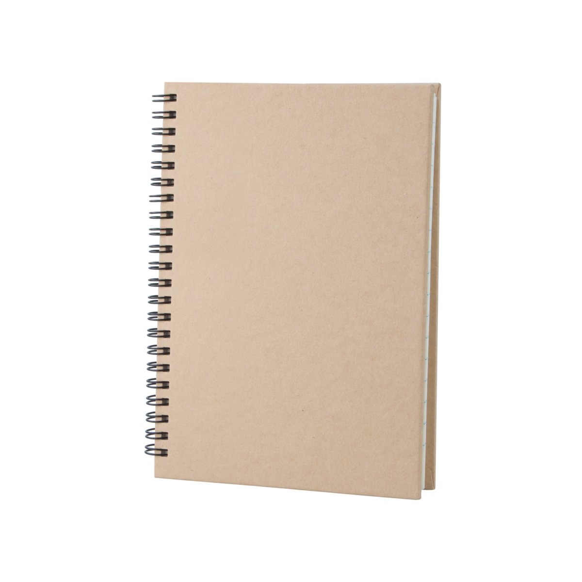 gulliver-notes-v00 Cedrus A5 notes