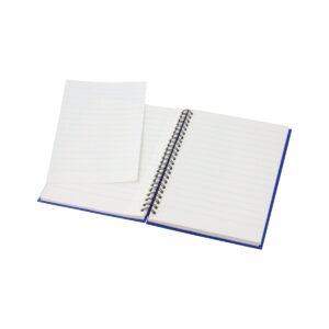 Gulliver - notes