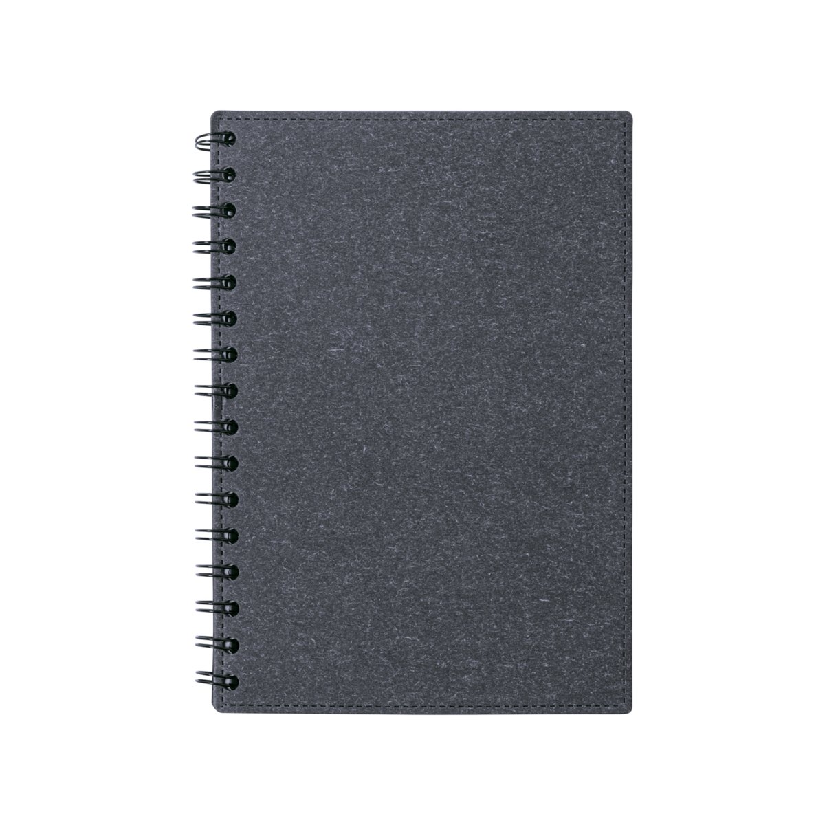 idina-notes-v10 Biloba notes