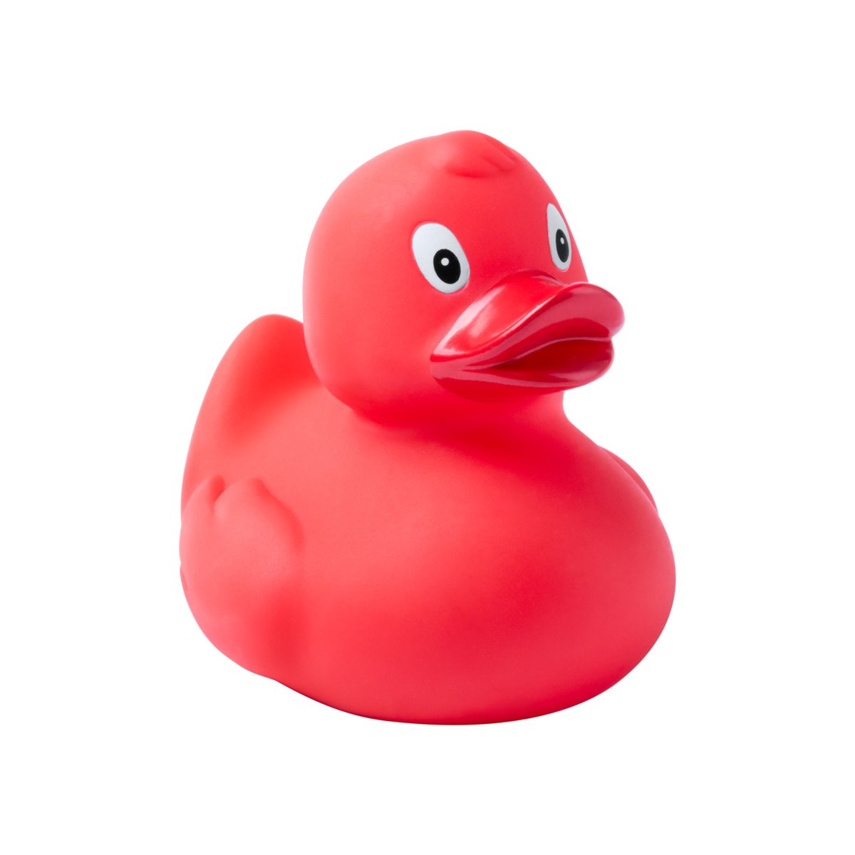 Squack kaczka