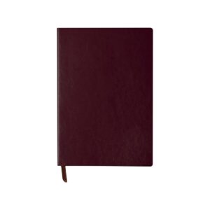 Paldon - notes