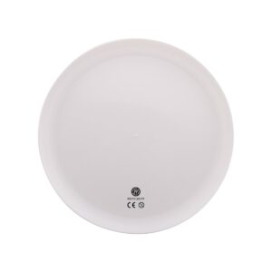 Reppy - frisbee