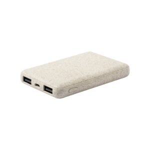 Shiden - power bank