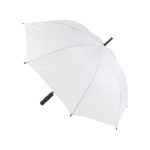 Parasol Typhoon