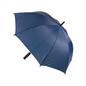 Typhoon parasol