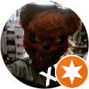 Pawlik Kow profile picture