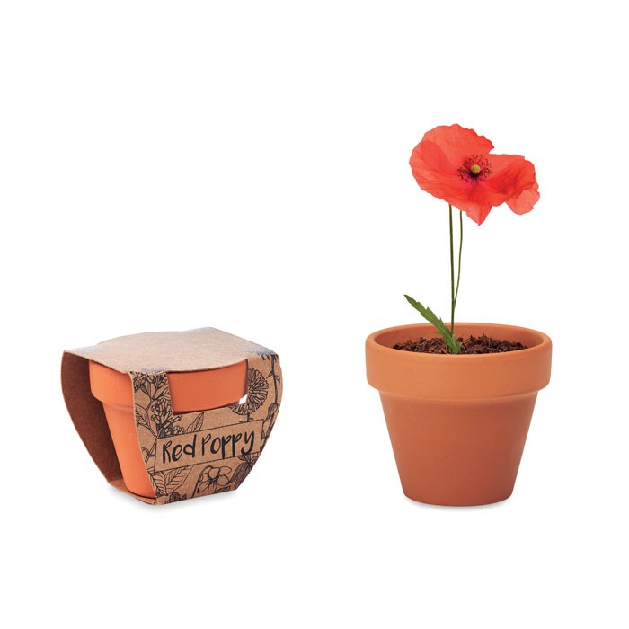 doniczka-mak-red-poppy-MO6148-40 Doniczka