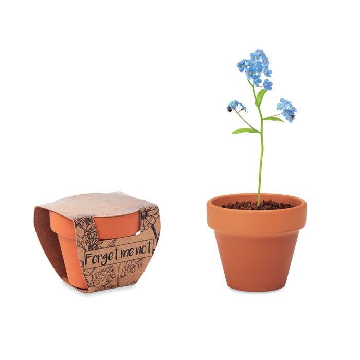 doniczka-niezapominajka-forget-me-not-MO6146-40 Doniczka