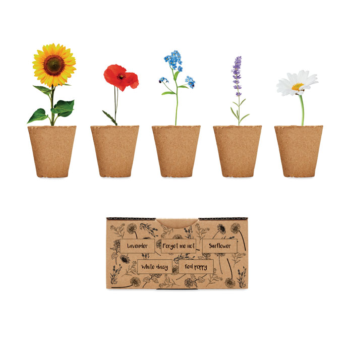 zestaw-do-uprawy-kwiatow-flowers-MO6500-13 Zestaw do uprawy kwiatów