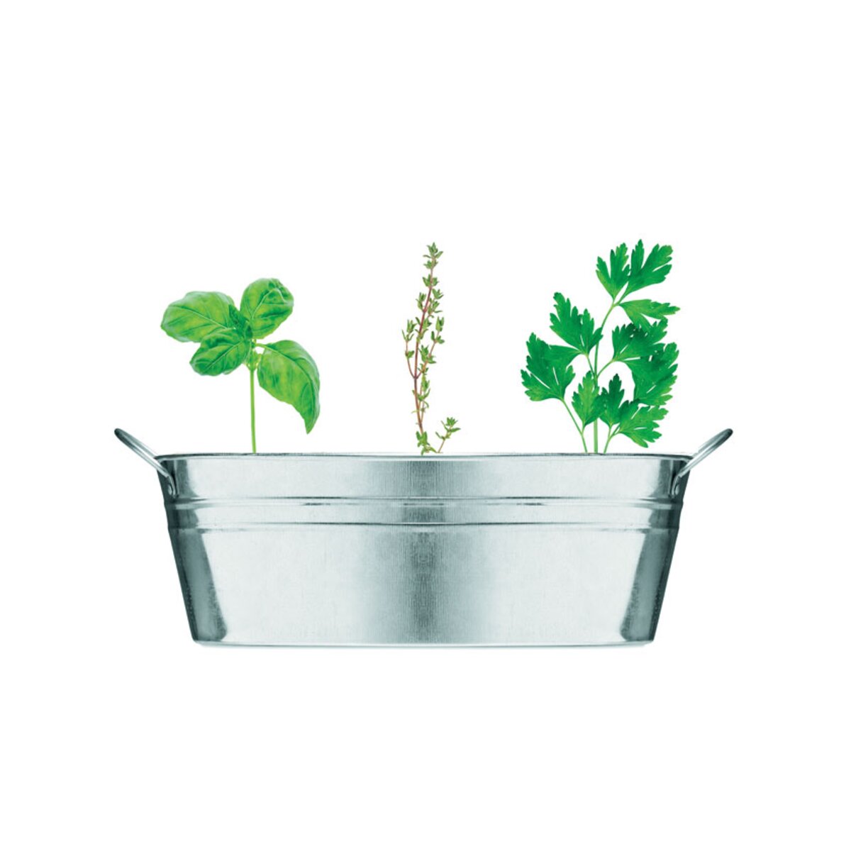 cynkowa-wanienka-z-nasionami-mix-seeds-MO6497-16-4 Cynkowa wanienka z nasionami