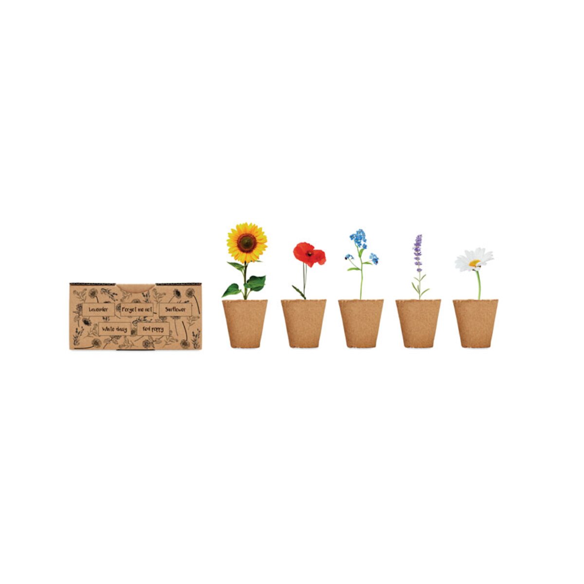 zestaw-do-uprawy-kwiatow-flowers-MO6500-13-8 Zestaw do uprawy kwiatów - FLOWERS