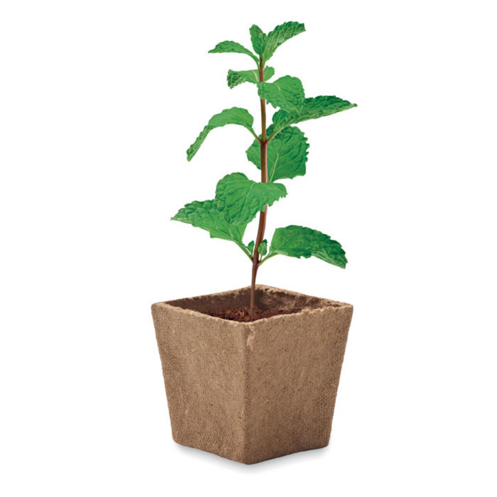 Gadżety do grilla z logo – zestaw do uprawy mięty mint kit mo2410-13-top Zestaw do uprawy mięty MINT KIT mo2410-13-top
