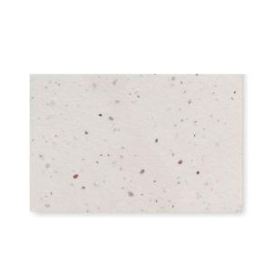 Wizytówka z nasionami dzikich k ASIDA mo2993-06