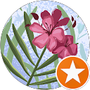 Monika Michalak profile picture