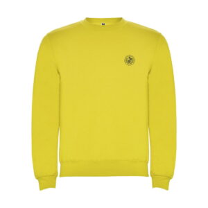 Bluza Clasica KIDS k10701b_f1_sp_y1