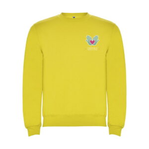 Bluza Clasica r10701b_f1_sp_y1
