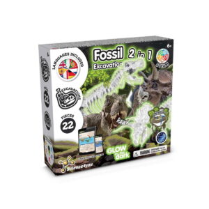 2 in 1 Fossil Excavation Kit I. Gra edukacyjna dla dzieci 35823_set
