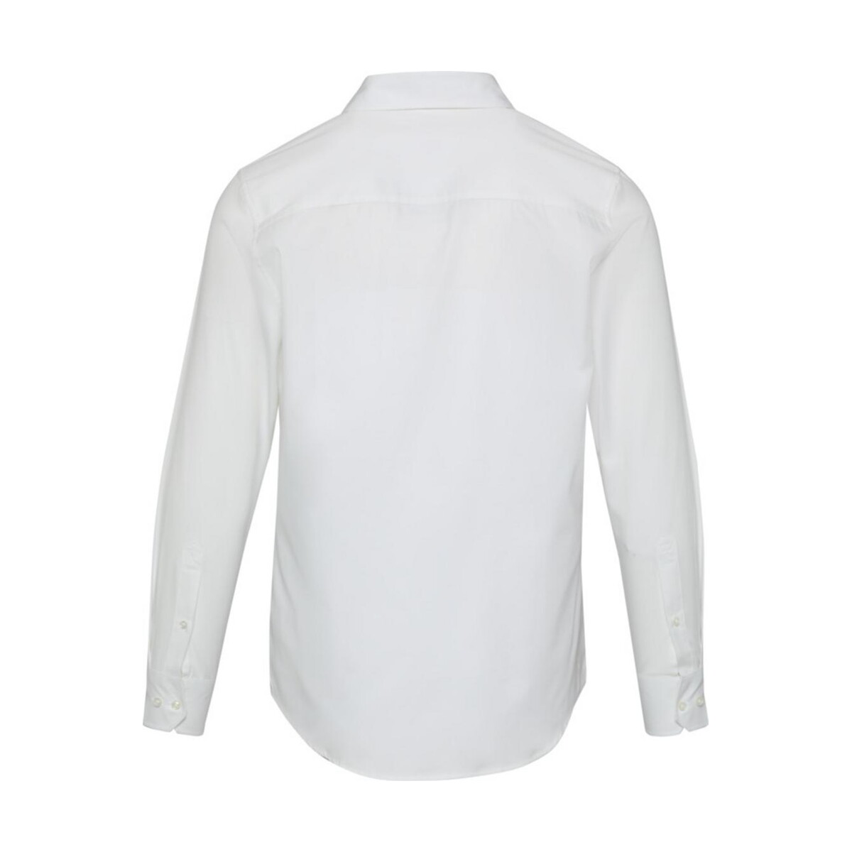 Koszule z logo – citrine koszula męska z bawełny twill 3950401_b1 Citrine koszula męska z bawełny Twill 3950401_b1