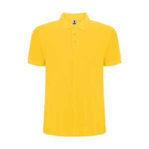 Pegaso Premium koszulka męska polo z krótkim rękawem r66091b