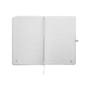 Kapaas notes AP800740-00__B