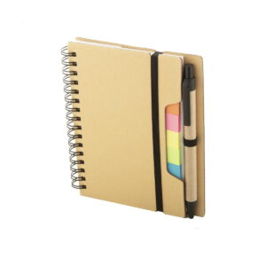 Reesy notes AP800771-00