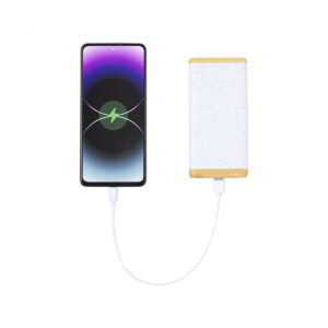 Cereale power bank AP734272-01__FC1