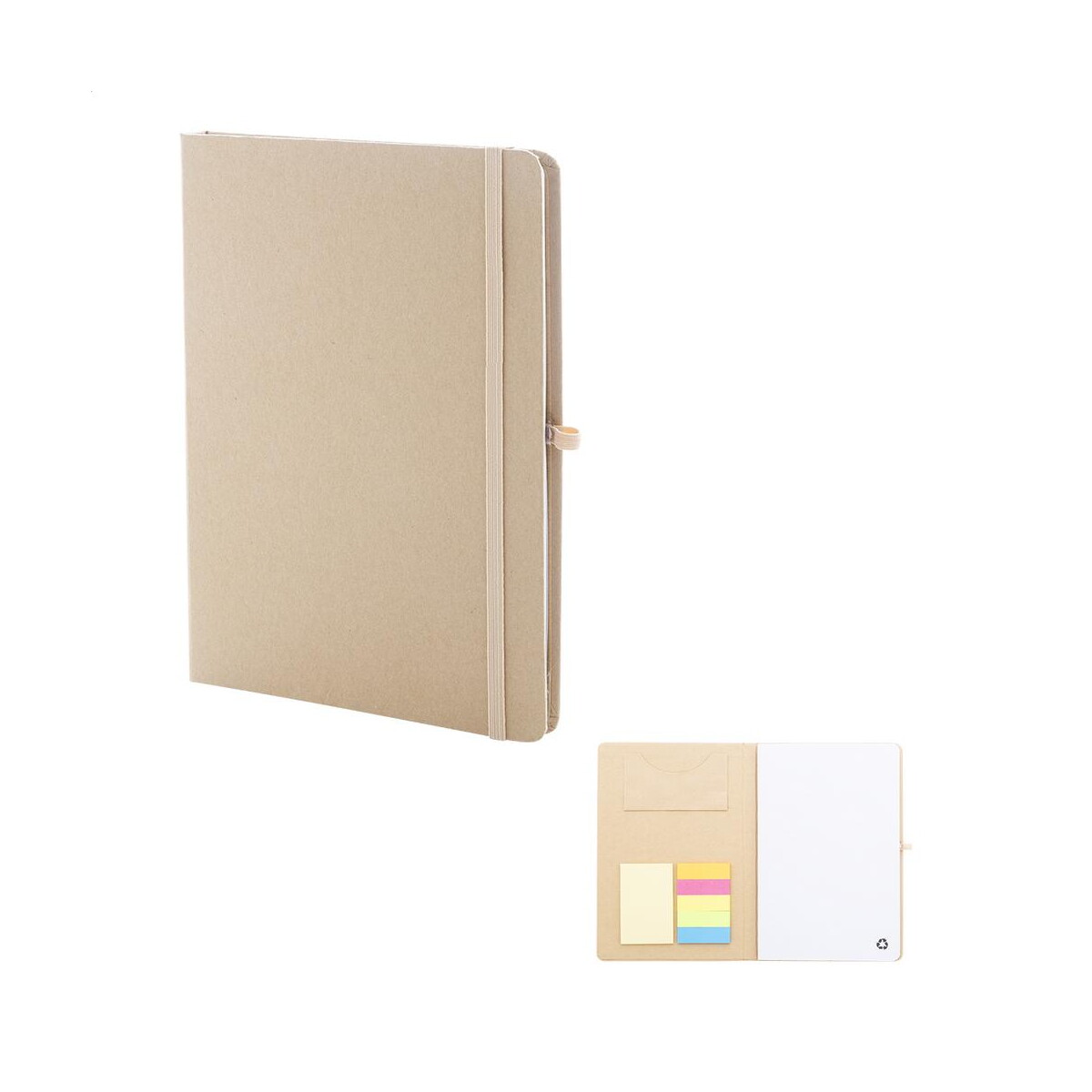 Conus notes – naturalne AP800097-00 Conus notes - naturalne