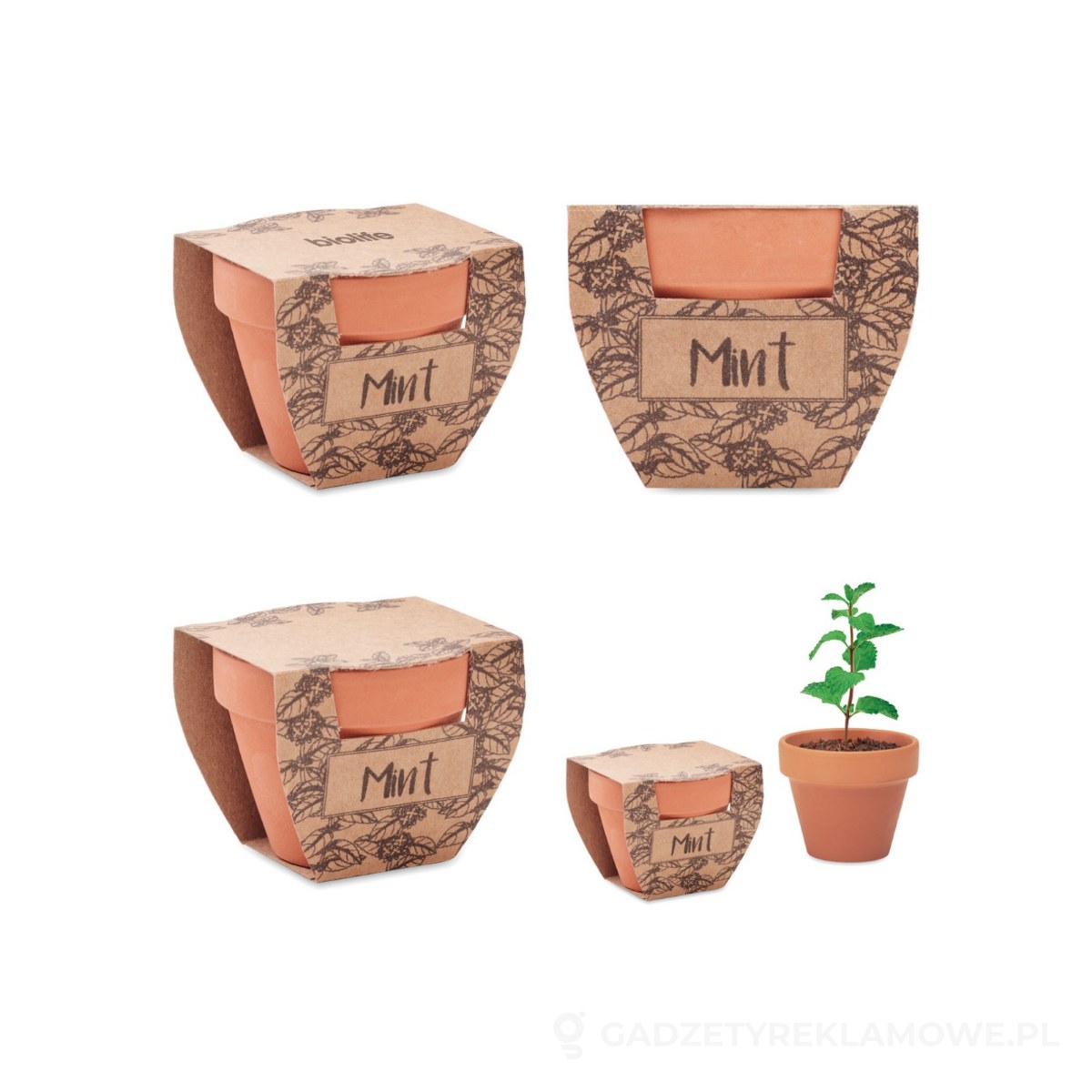 MO2218-40-wariantu-watermark Nasiona mięty w doniczce MINT POT