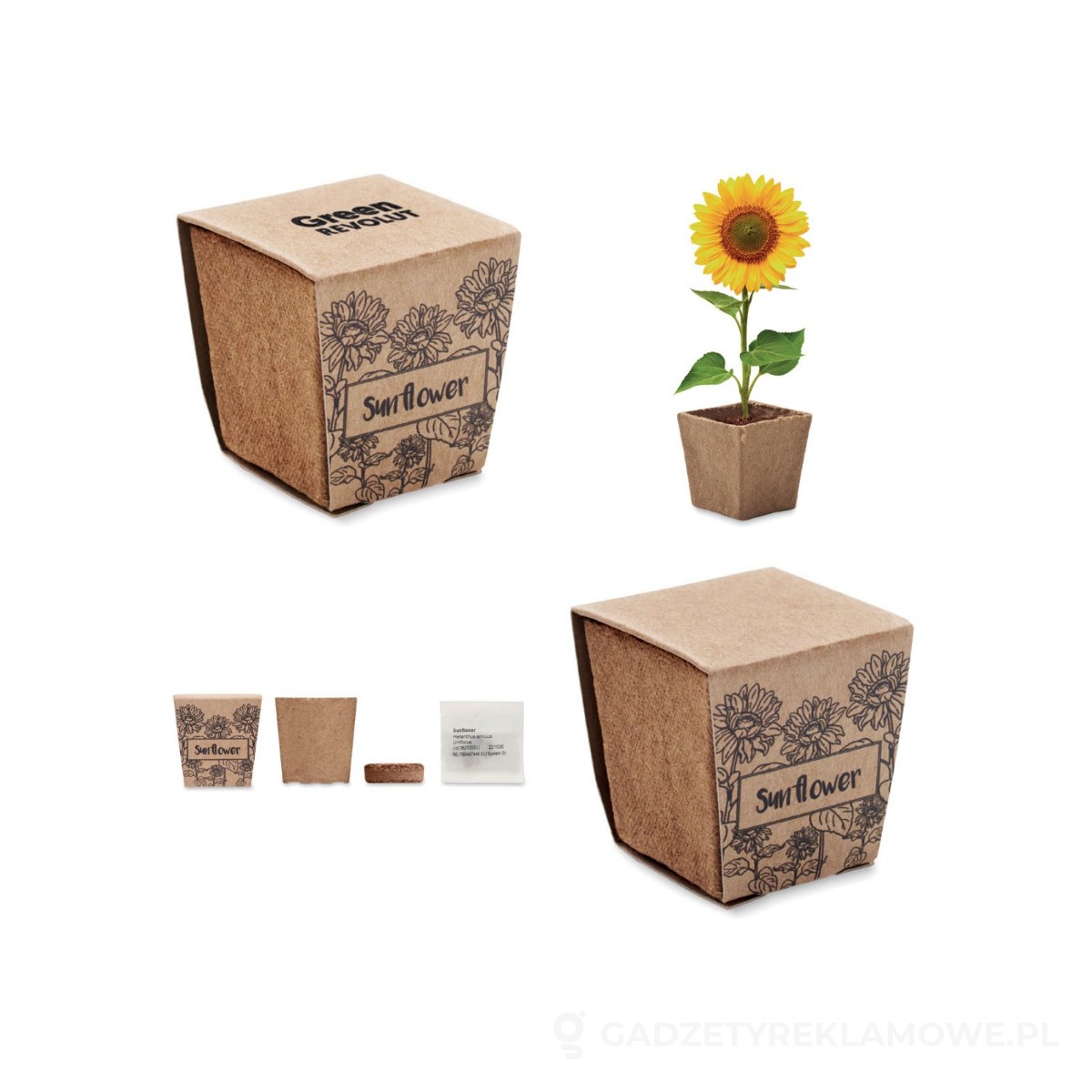 MO2411-13-wariantu-watermark Zestaw do uprawy słonecznika SUNFLOWER KIT