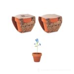 Doniczka, niezapominajka FORGET ME NOT - brazowy – zdjęcia produktu