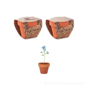 Doniczka, niezapominajka FORGET ME NOT