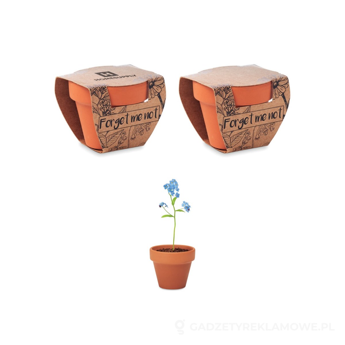 MO6146-40-wariantu-watermark Doniczka, niezapominajka FORGET ME NOT