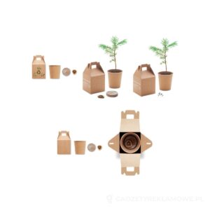 Nasiona sosny, torf, doniczka GROWTREE™