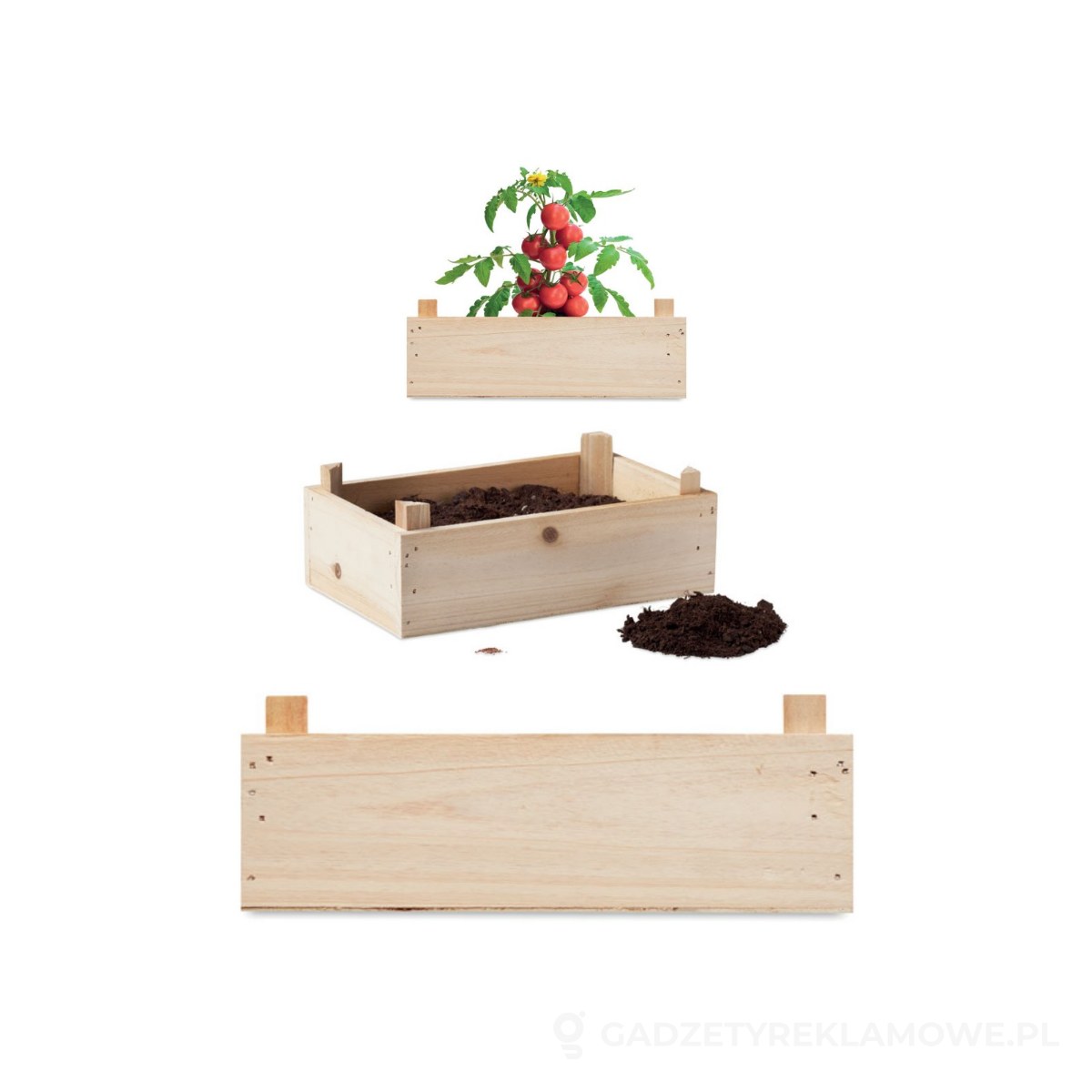 MO6498-40-wariantu-watermark Zestaw do uprawy pomidorów TOMATO