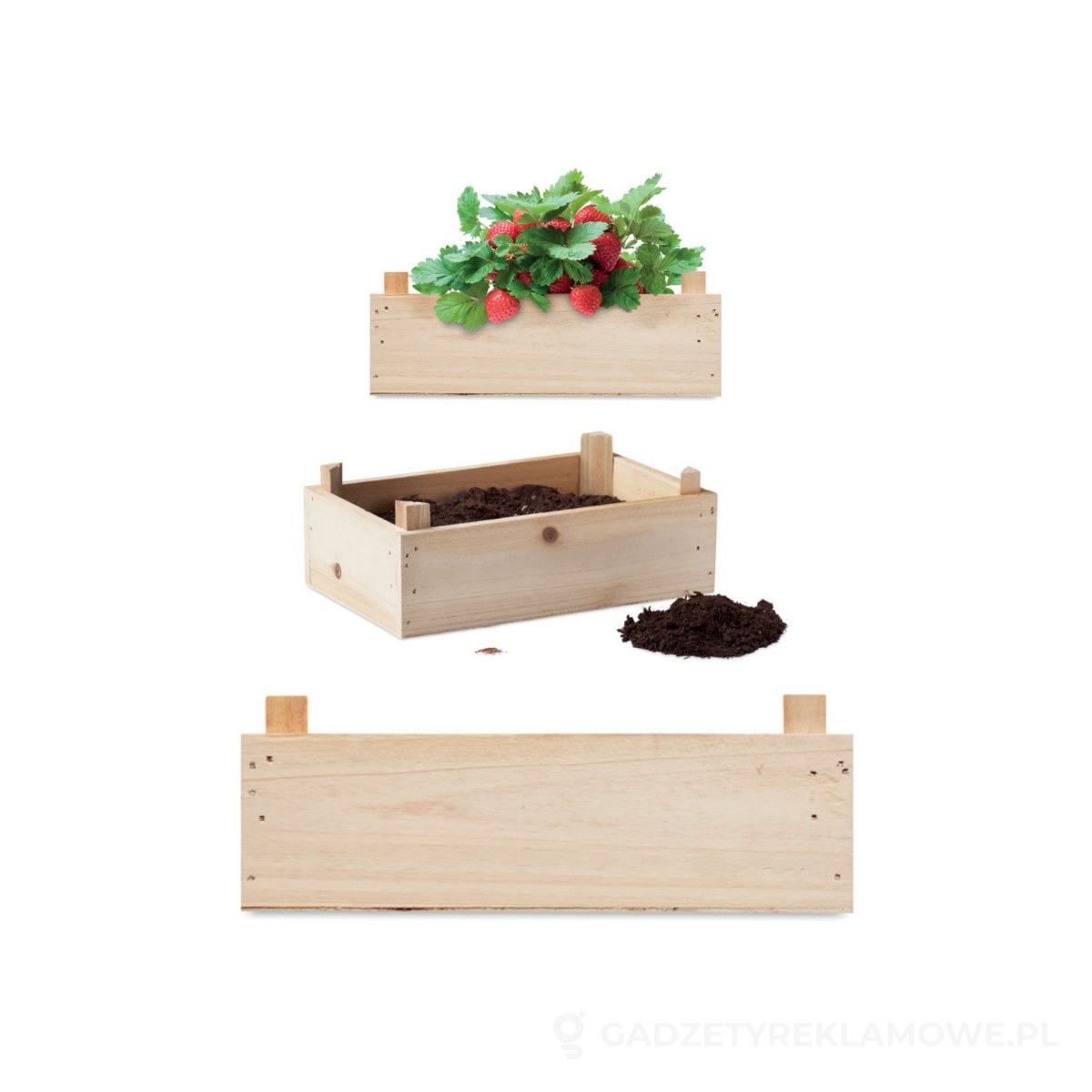 MO6506-40-wariantu-watermark Zestaw do uprawy truskawek STRAWBERRY