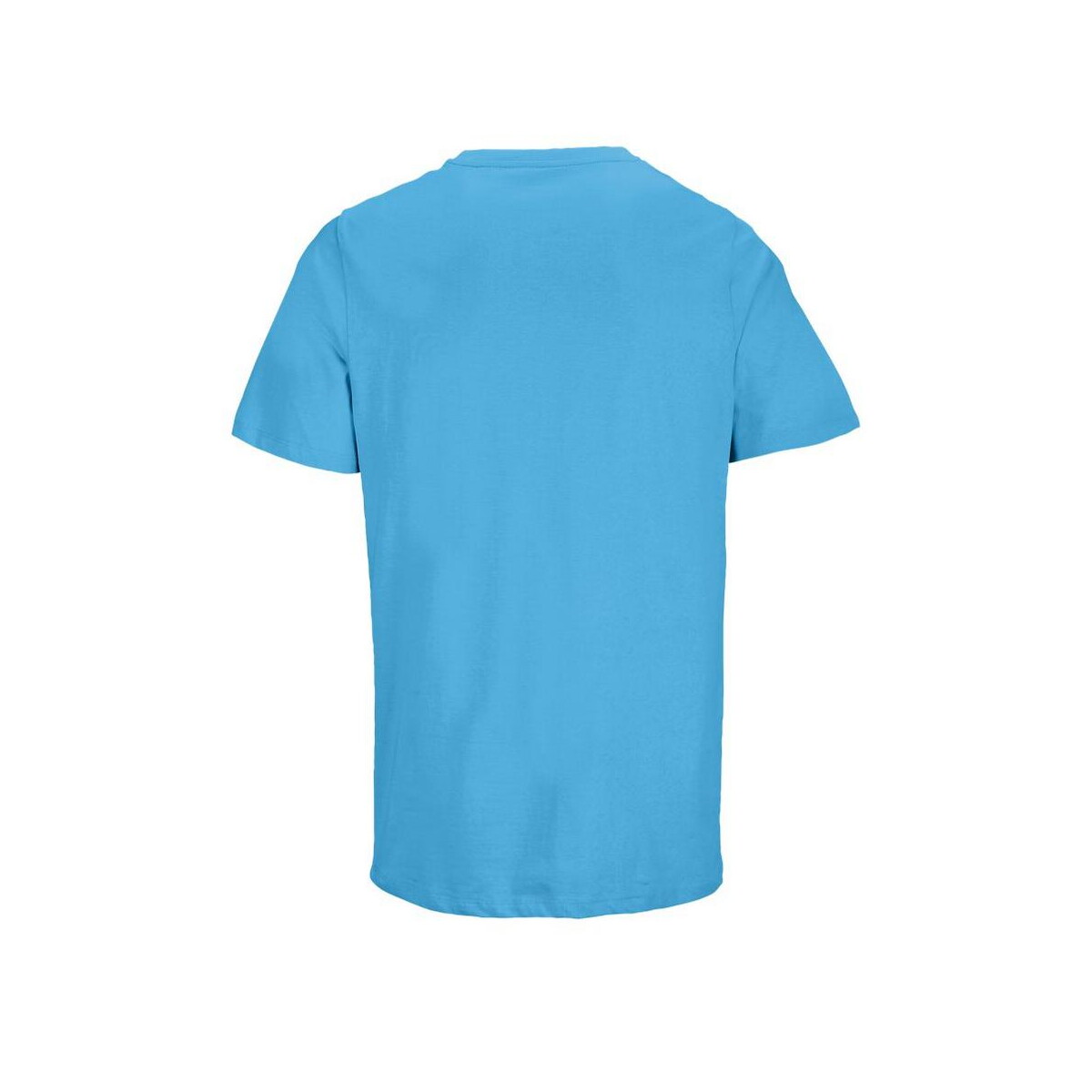 Koszulki z logo – legend t-shirt organic 175g legend s03981-aq-back LEGEND T-Shirt Organic 175g LEGEND s03981-aq-back