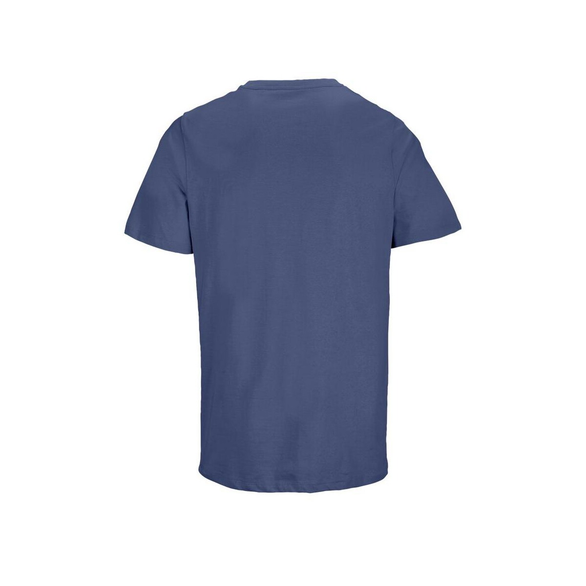 Koszulki z logo – legend t-shirt organic 175g legend s03981-dm-back LEGEND T-Shirt Organic 175g LEGEND s03981-dm-back