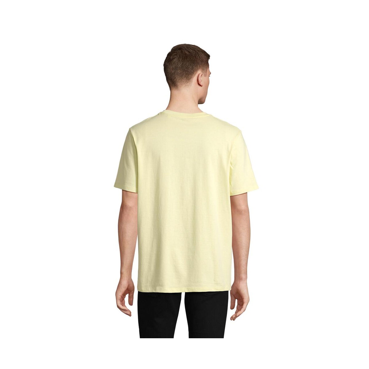 Koszulki z logo – legend t-shirt organic 175g legend s03981-ly-back LEGEND T-Shirt Organic 175g LEGEND s03981-ly-back