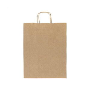 Papbag L papierowa torba prezentowa, duża AP719608-00__A