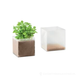 Zestaw do uprawy "Bazylia" BASIL - beżowy – zdjęcia produktu