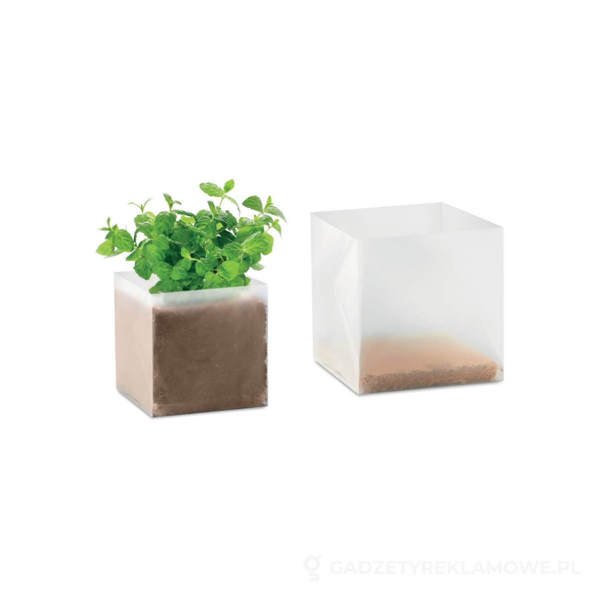 MO9546-13-wariant-watermark Zestaw do uprawy