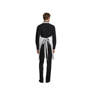 GALA APRON WITH POCKETS GALA s88010-wh-back
